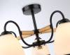 Подвесной светильник Ambrella light Traditional TR3033245 фото 5