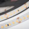 Светодиодная лента Arlight 17W/m 168LED/m 2835SMD холодный белый 5M 019092(1) фото 2