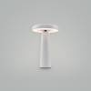 Аккумуляторный светильник Freya Led FR6109TL-L4W фото 5