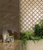 Бордюр Versace Emote G0262570 Listello Onice Bianco 4x78 фото 5