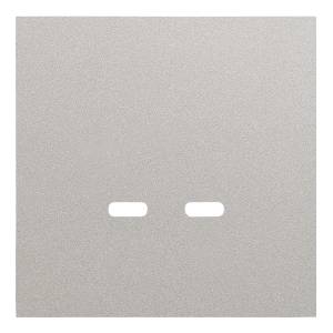 Лицевая панель для розетки USB C/C Rikett 35675 PL платина