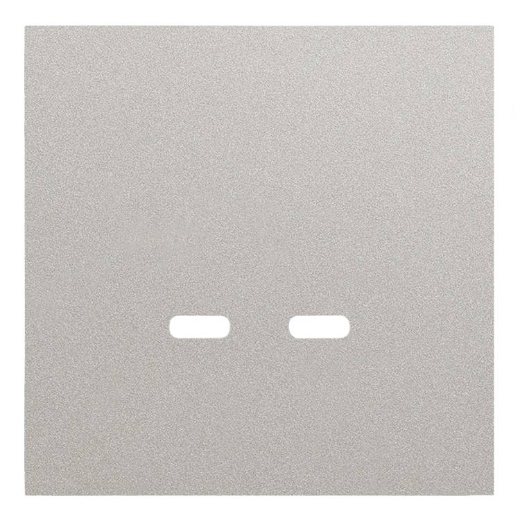 Лицевая панель для розетки USB C/C Rikett 35675 PL платина