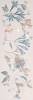 Керамическая плитка FAP Ceramiche Deco&More fRCL Flower Romance 30.5x91.5