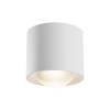 Потолочный светильник Maytoni Ceiling C217CL-15W3K-W