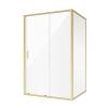 Душевой уголок Niagara Nova NG-42-12AG-A80G (120x80x190)