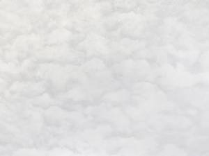 Обои Elysium Карелия Е803600