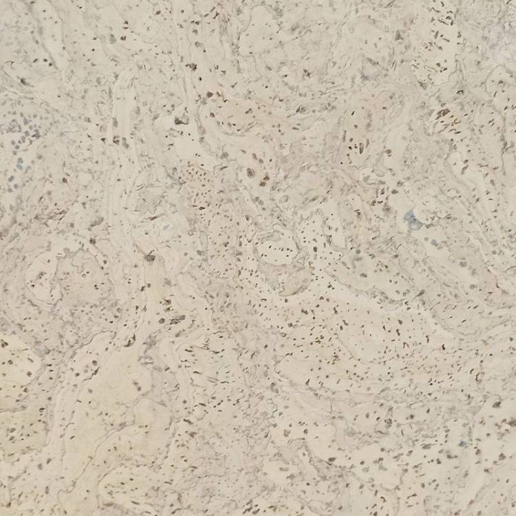Пробковое покрытие IberCork Толедо крем 6 VG Клеевое 600x300x6