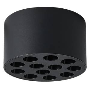 Потолочный светодиодный светильник Lightstar Guarda 080947