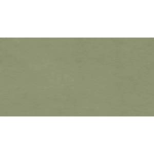 Керамическая плитка Marca Corona Multiforme I858 Muschio Rt 40x80