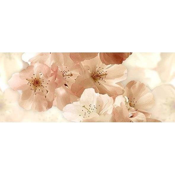 Панно Ceradim Manzano КПН17ManzanoA Dec Panno A 20x50