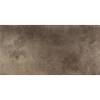 Керамогранит Ceracasa Evolution Titanio Lapatto Rect 49.1x98.2