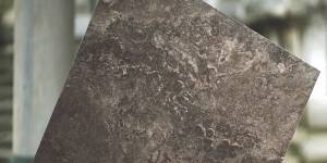 Seranit Fossil