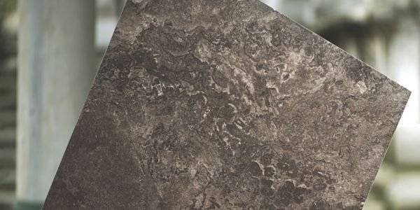 Seranit Fossil