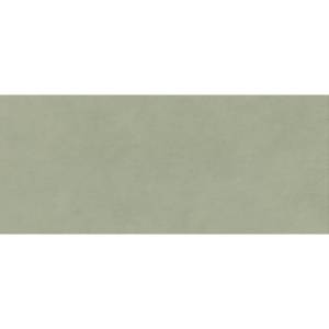 Керамическая плитка Atlas Concorde Boost Expression AYR7 Olive Matte 50x120