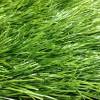 Искусственная трава FlexiGrass спортивная, высота ворса 50 мм фото 5
