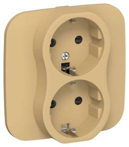 Розетка 2-местная с заземлением и шторками IEK Flite FI-R24A-16-K89 шамуа