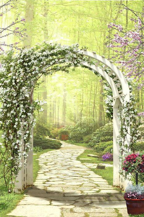 3D Фотообои Artegrafico «Дорожка в волшебном лесу» FK163 канвас