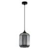 Светильник Arte Lamp Arwen A1902SP-1BK