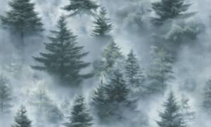 Обои Palitra Home Ultrachrome 3 HC72551-67