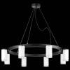 Подвесная люстра Lightstar Rullo LR0183680 фото 3