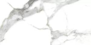 Керамогранит Absolut Gres Montblanc AB 1198G Gloss 1200x600