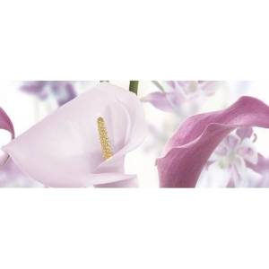 Панно Ceradim Sano КПН17SanoA Dec Panno A 20x50