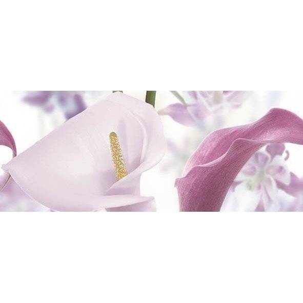 Панно Ceradim Sano КПН17SanoA Dec Panno A 20x50