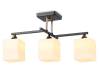 Подвесной светильник Ambrella light Traditional TR303114