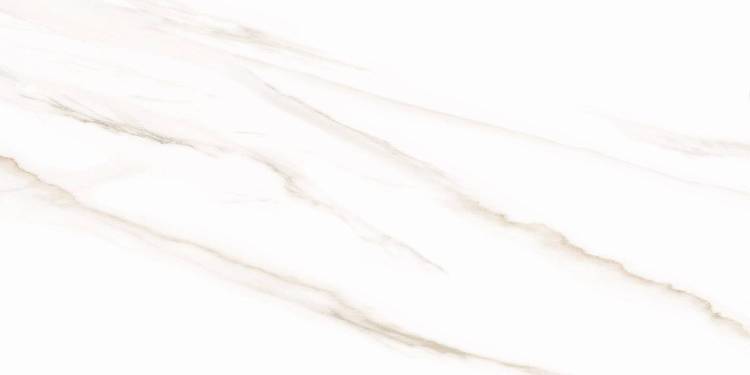 Керамическая плитка AltaCera Esprit WT9ESR00 Calacatta 25x50