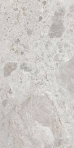 Керамогранит ABK Era PF60030187 Blooming Ash Nat R 60x120