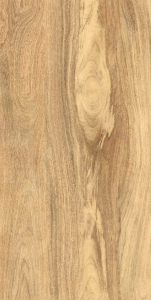 Керамогранит Gresant Taiga Light Matt Carving 60х120