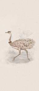 Декор ABK Moooi Nesting Room PF60021312 Special Edition Reiki Rhea Nat 120x280