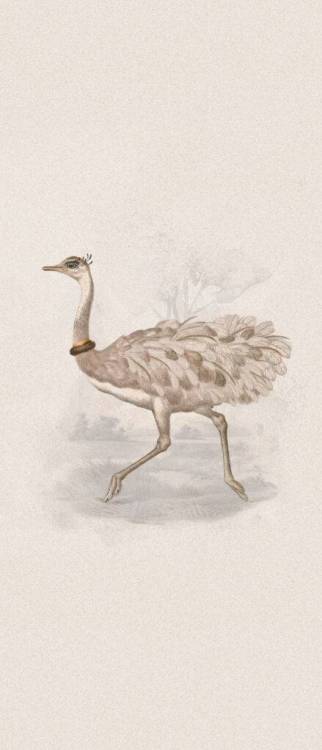 Декор ABK Moooi Nesting Room PF60021312 Special Edition Reiki Rhea Nat 120x280