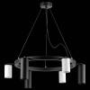Подвесная люстра Lightstar Rullo LR016873363 фото 3