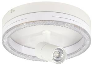 Потолочный светильник Escada 20044SMA/02LED WH
