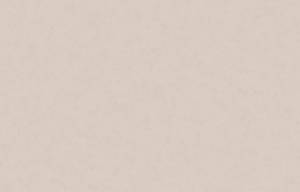 Обои HYGGE Roll Made in Russia MIR5 004