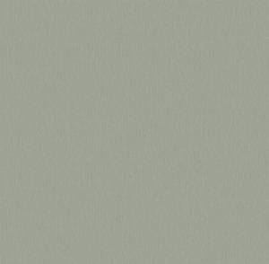 Обои Victoria Stenova Green 588183