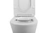 Унитаз-компакт BelBagno Flay-R BB2149CPR/SC/BB2149T безободковый, сиденье микролифт фото 6