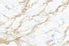 Керамогранит Zodiac Ceramica Calacatta MN034AY321612 Gold Italy Matt 12mm 160x320 фото 4