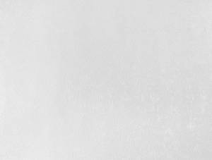 Обои Elysium Бланш Е85810