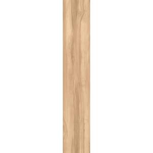 Керамогранит Arcadia Ceramica Fossil Wood CW-RT09-B Brich Rt 20x120