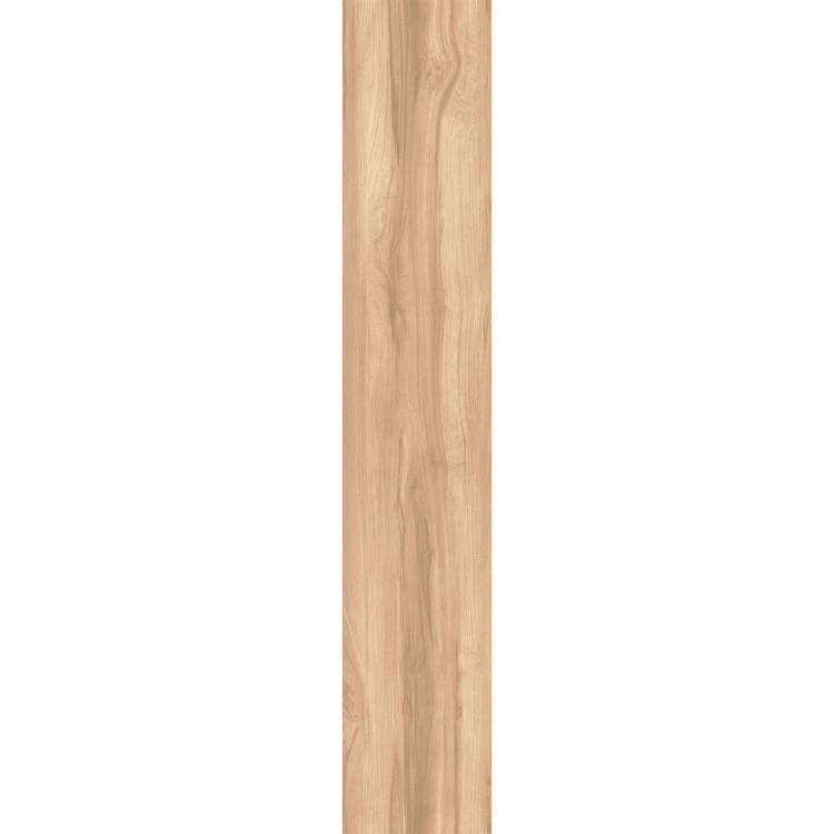 Керамогранит Arcadia Ceramica Fossil Wood CW-RT09-B Brich Rt 20x120