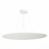 Подвесной светодиодный светильник ST Luce ST602.543.120 фото 2