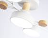 Потолочный светильник Ambrella light Comfort FL4834 фото 2