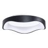 Потолочный светильник Arte Lamp Ankaa A3085PL-48BK