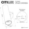 Настенный светильник Citilux Axel CL512320 фото 8
