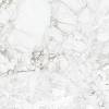 Керамогранит Absolut Gres Rossalia Natural AB1208G Gloss 600x600 фото 8