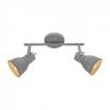 Спот Arte Lamp A1677PL-2GY