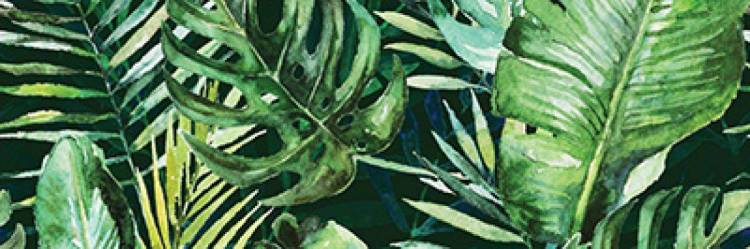 Декор Ceramika Konskie Braga Tropic C Rett 25x75