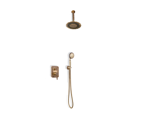 Душевой комплект Bronze de Luxe Windsor 10138/1DF с внутренней частью